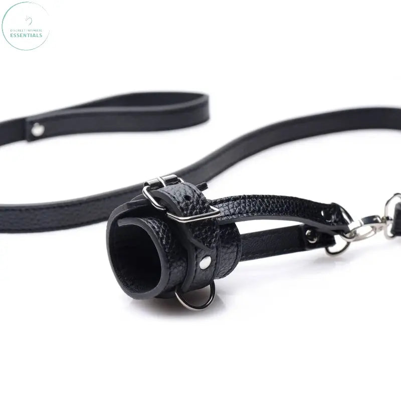 Strict ball stretcher with leash for unique pet play experiences and control.