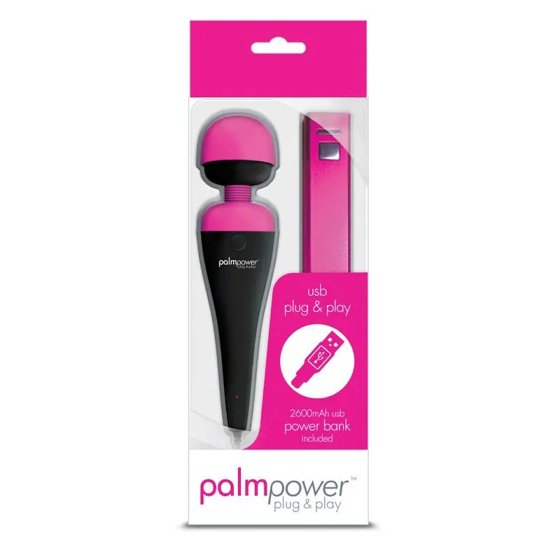 PalmPower Massage Wand Plug and Play USB PalmPower Discreet Intimate Essentials.