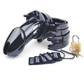 Male chastity cage kit including a black cage, adjustable rings, key lock, and numbered plastic locks.