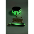 Glowing collar and lead set featuring a fluro green design with gold chain and metal hardware.