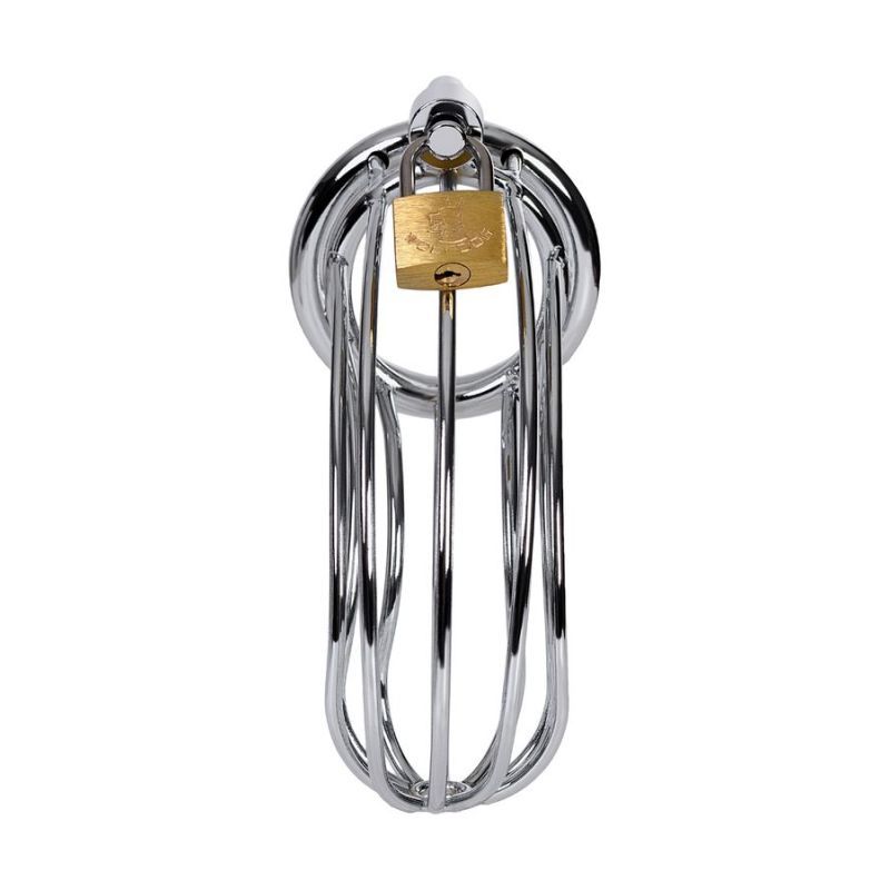 Silver metal cock cage with lock, designed for hygiene and comfort in erotic and role-playing games.