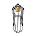 Silver metal cock cage with lock, designed for hygiene and comfort in erotic and role-playing games.