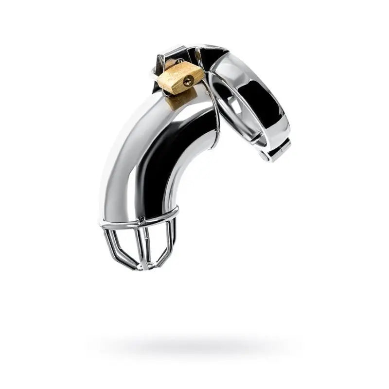 Silver Metal Cock Cage w Rings and Lock Metal Discreet Intimate Essentials.