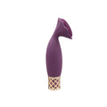 Pillow Talk Secrets Passion Massager, a high-quality clitoral vibrator with soft bristles for ultimate pleasure.