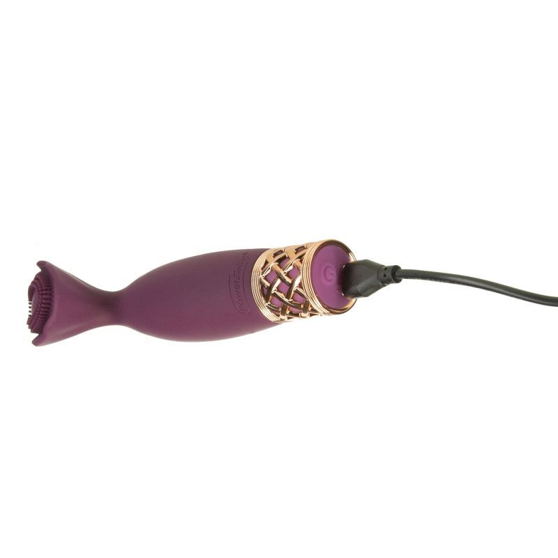 Pillow Talk Secrets Passion Massager, a clitoral vibrator with ultra-soft bristles for stimulation and pleasure.
