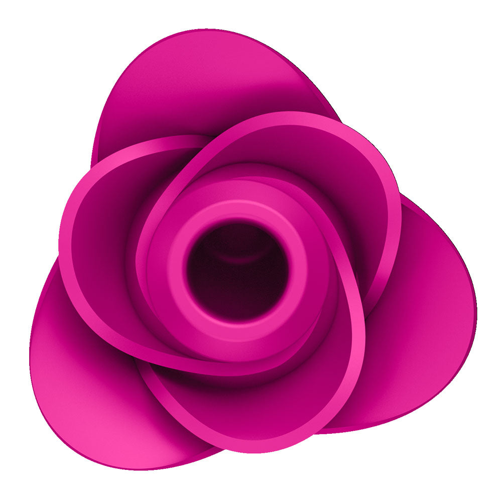 Satisfyer Pro 2 Modern Blossom - Modern  USB Rechargeable Air Pulse Rose Stimulator in vibrant pink design.