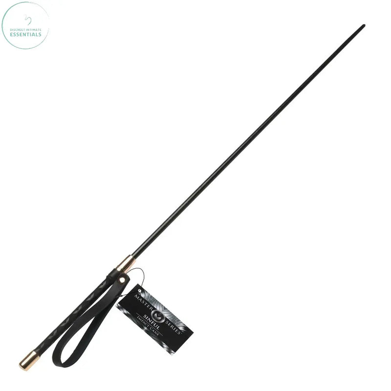 Affordable quality Master Series Sinful Impact Cane -  Plastic Cane Whip  from XR Brands by Discreet Intimate Essentials with Discreet Delivery 