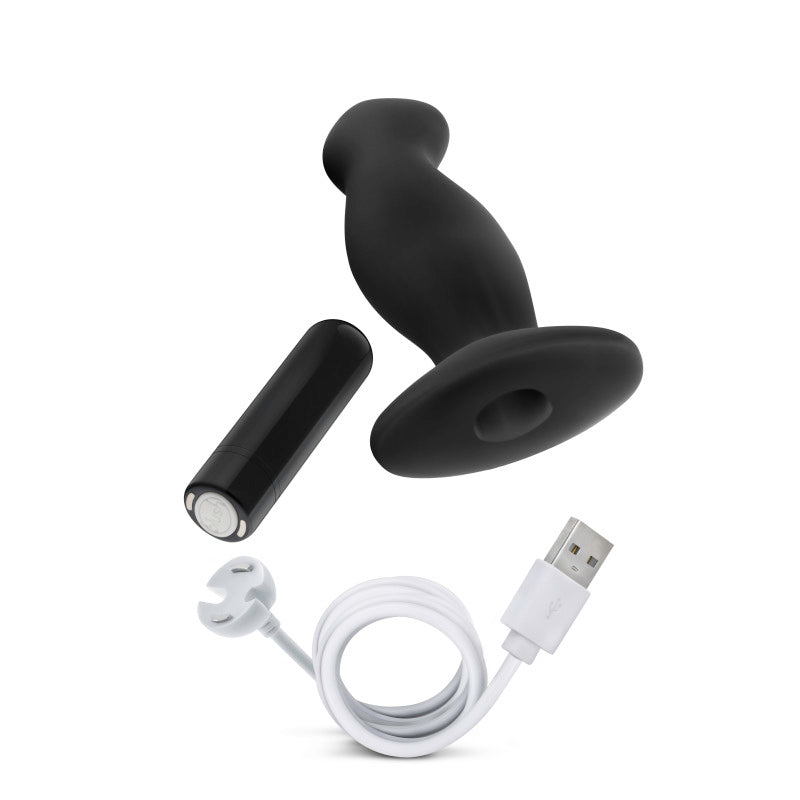 Anal Adventures Platinum Vibrating Prostate Massager 02 - 10.8 cm USB Rechargeable Prostate Massager with bullet and charging cable