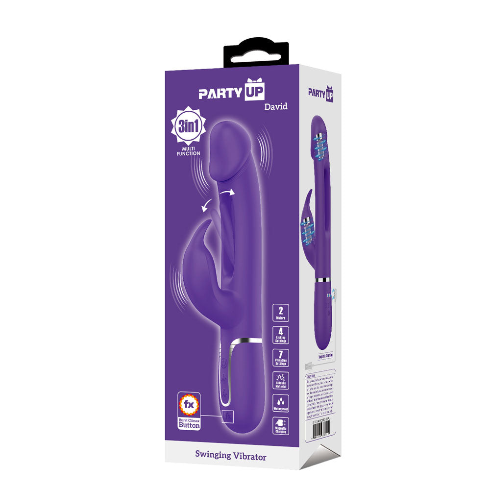 Party Up DAVID Swinging Vibe -  -  23.2 cm USB Rechargeable Rabbit Vibrator with Flicking Arm packaging image