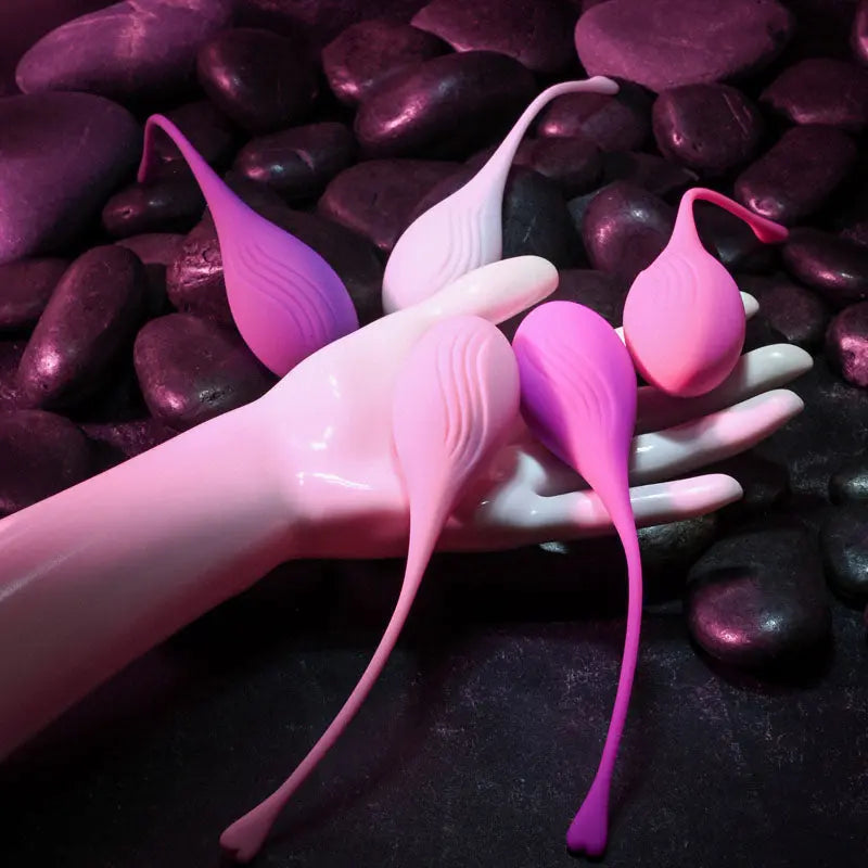 Evolved TIGHT & DELIGHT - Kegel Trainer Set - 5 Piece Kit Evolved Discreet Intimate Essentials.