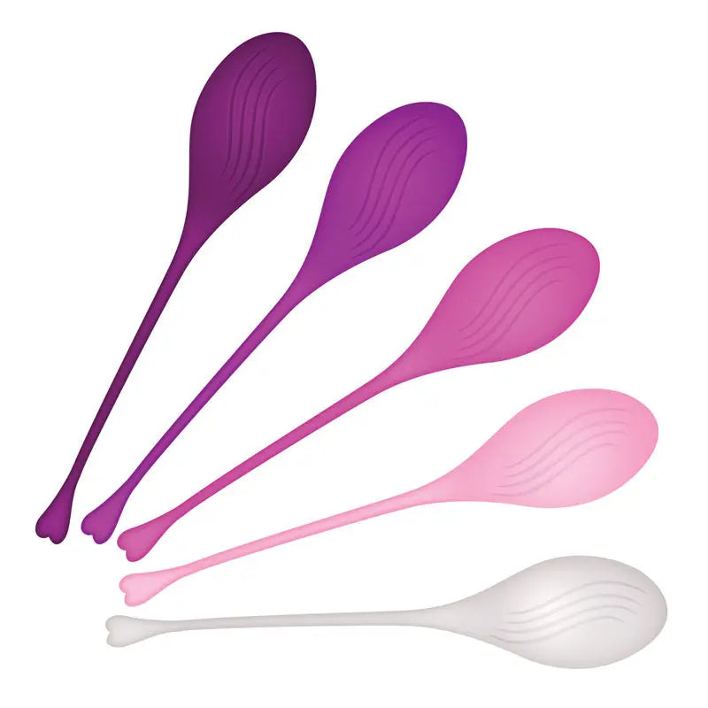 Evolved TIGHT & DELIGHT - Kegel Trainer Set - 5 Piece Kit Evolved Discreet Intimate Essentials.