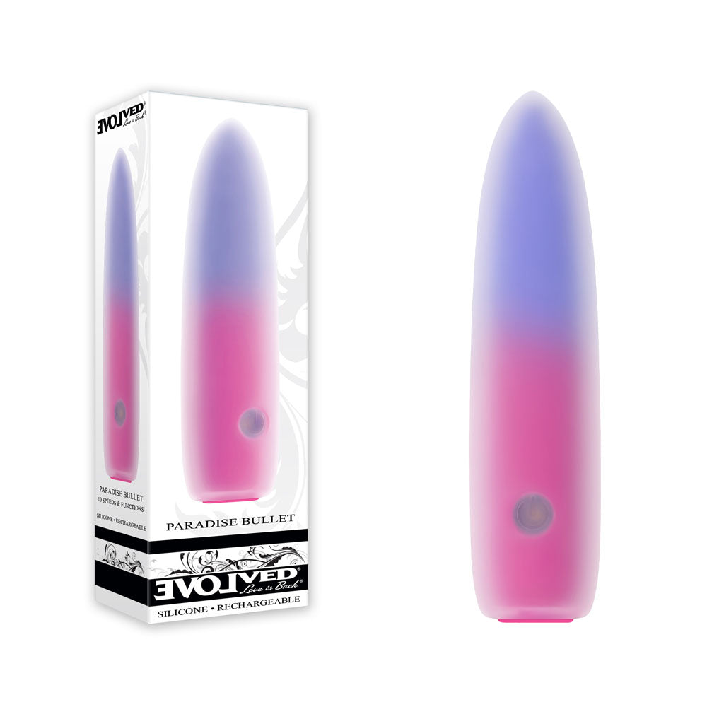Evolved PARADISE BULLET - Pink/Purple 10.2 cm USB Rechargeable Bullet with packaging, perfect for intimate essentials for her.