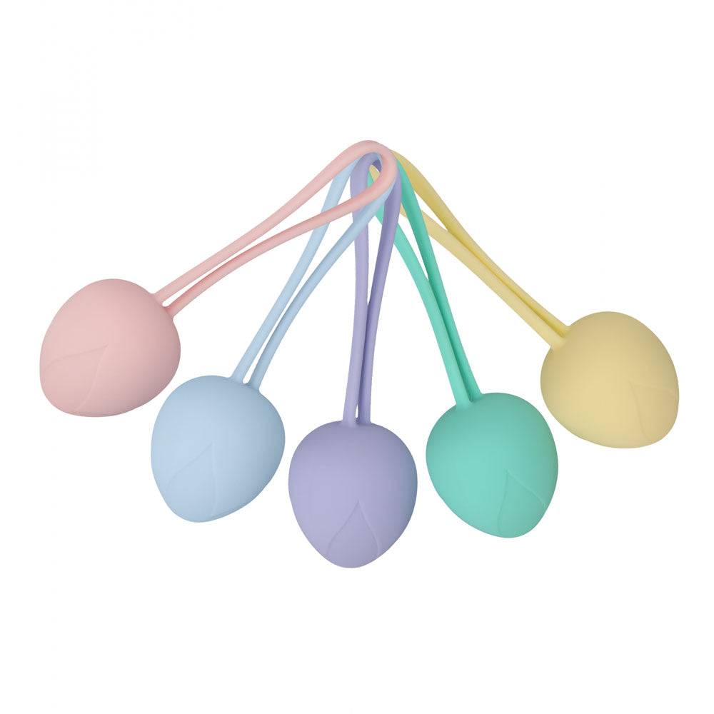 LOVELINE PelviFit Berry -  Kegel Kit - Set of 5 Sizes in pastel colors for pelvic floor strength.