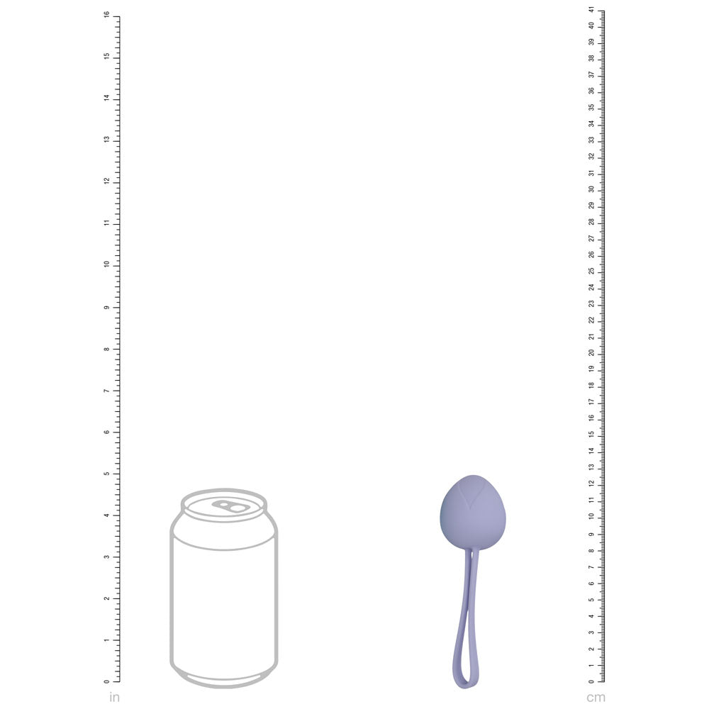 LOVELINE PelviFit Berry -  Kegel Kit - Set of 5 Sizes shown next to a can for size reference.