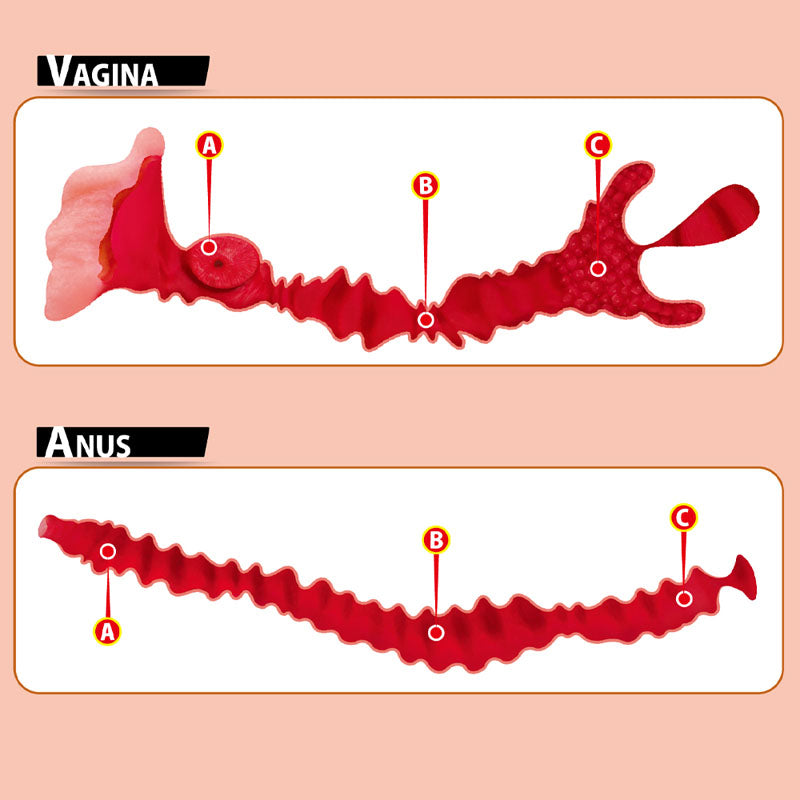 Kokos Big Hip Adel 001 -  Missionary Style Masturbator diagram showing vaginal and anal features and dimensions.