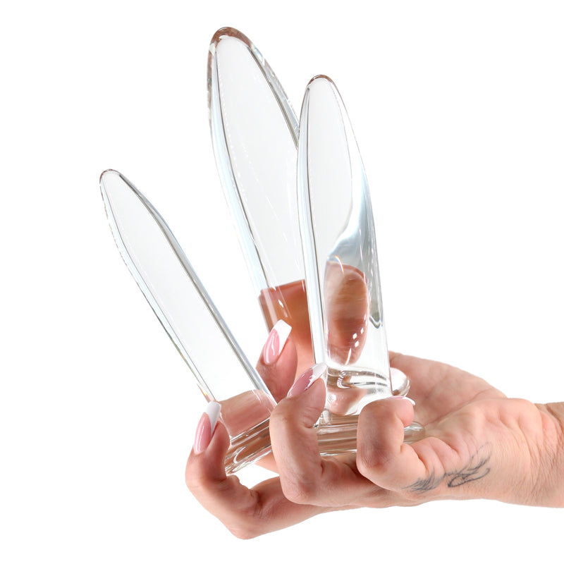 Crystal - 3pc Trainer Kit -  -  Glass Anal Plugs - Set of 3 Sizes held in hand.
