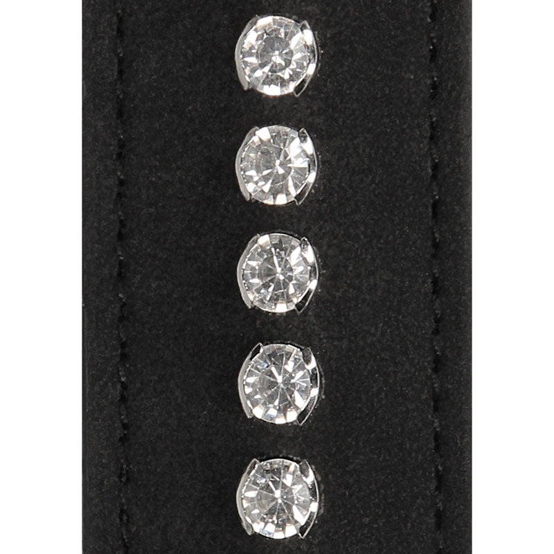 Close-up of the OUCH! Diamond Studded Whip showcasing five sparkling diamond studs on a black leather strap.