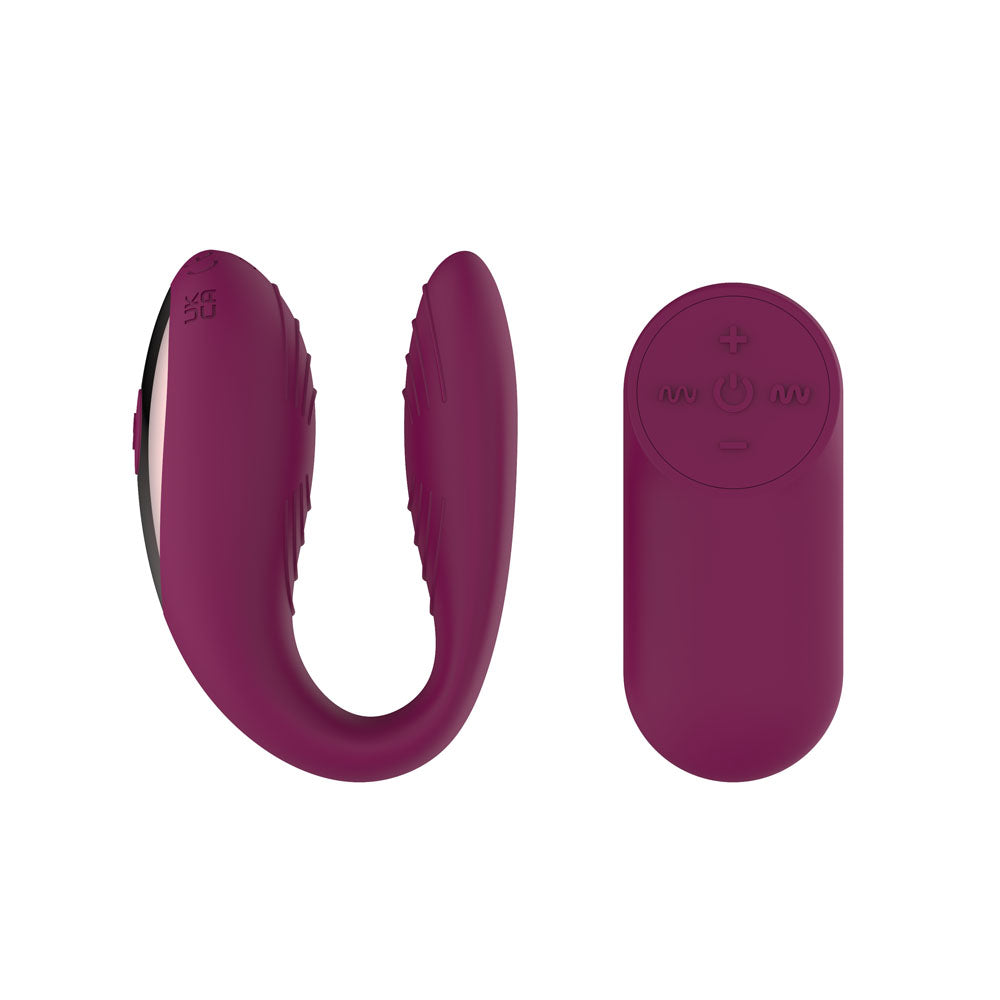 Passion Play couples vibrator with remote control, USB rechargeable, body-safe silicone, purple design.