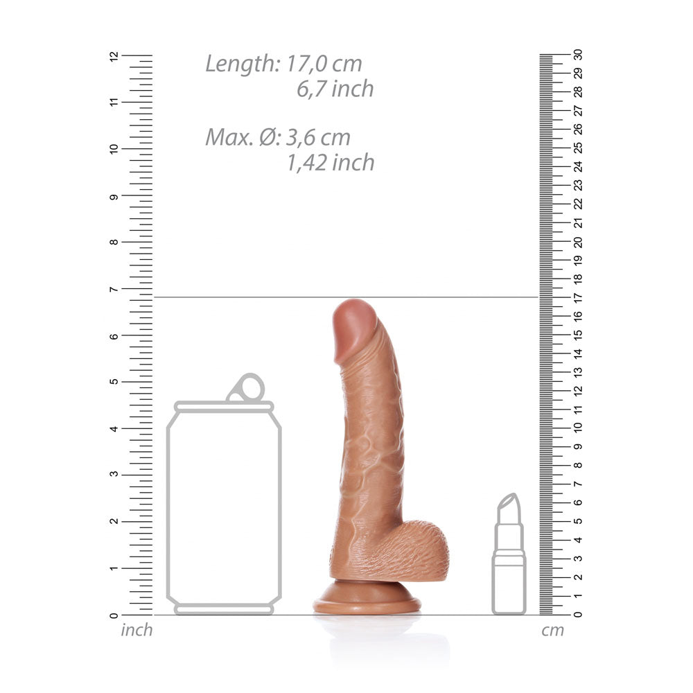 REALROCK Realistic Regular Curved Dong with Balls - 15.5 cm - Tan 15.5 cm (6'') Dong with size comparison to a can and bottle.