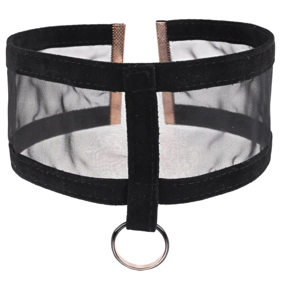 Sex & Mischief Sheer Day Collar -  Collar Sportsheets Discreet Intimate Essentials.