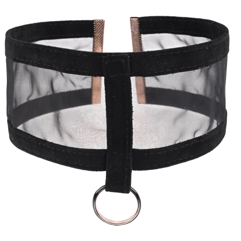 Sex & Mischief Sheer Day Collar -  Collar featuring sheer fabric and velvet accents, perfect for adding allure to any outfit.