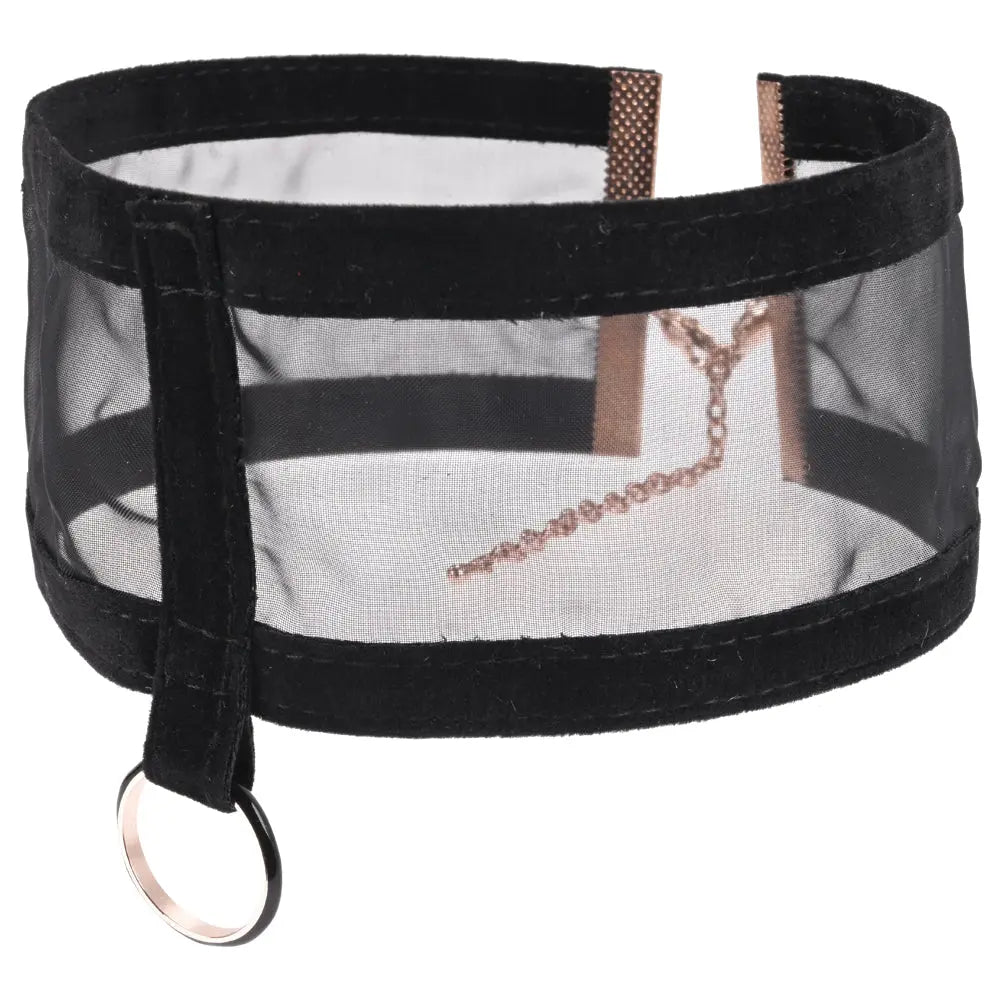 Sex & Mischief Sheer Day Collar -  Collar Sportsheets Discreet Intimate Essentials.