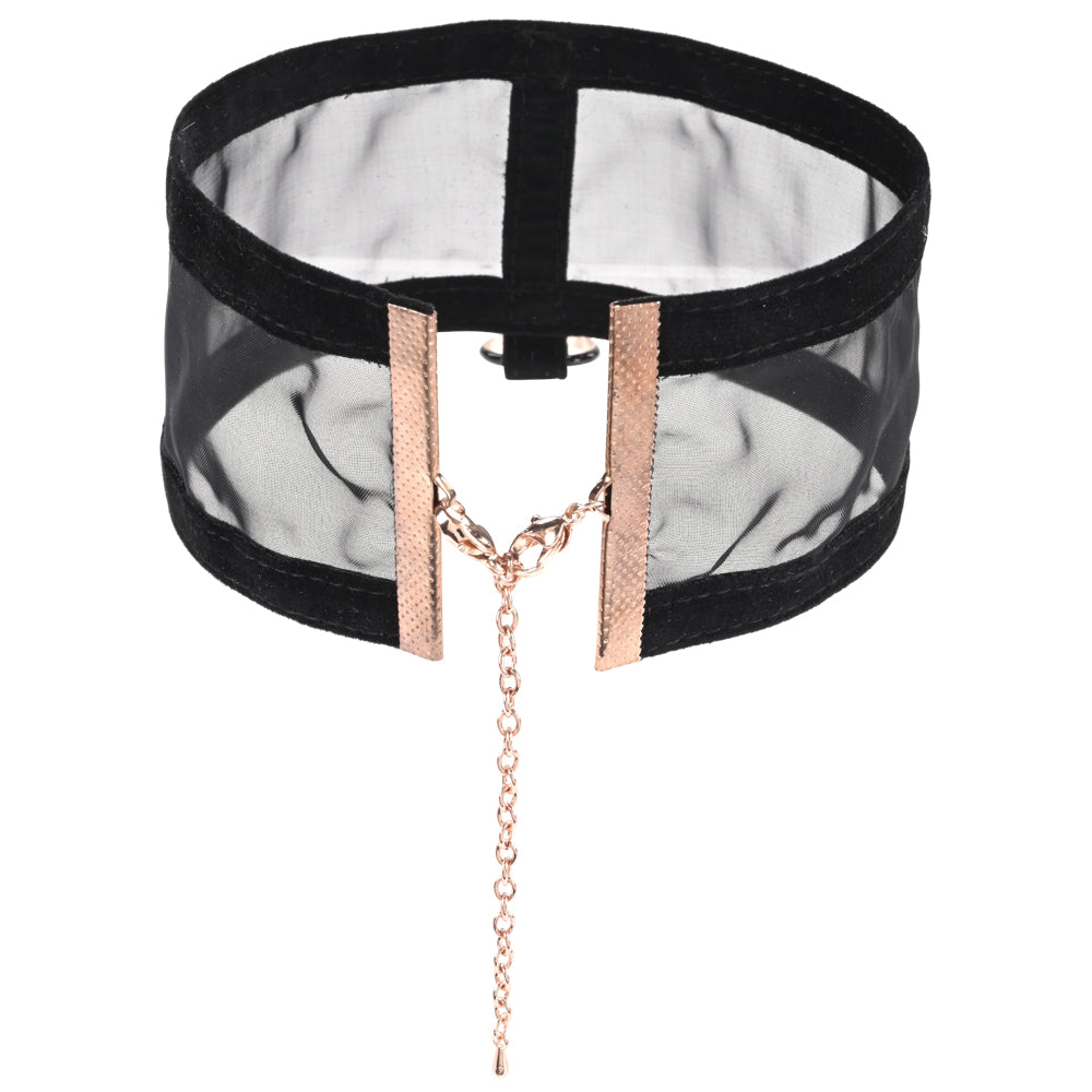 Sex & Mischief Sheer Day Collar -  Collar featuring black sheer fabric and gold accent details.