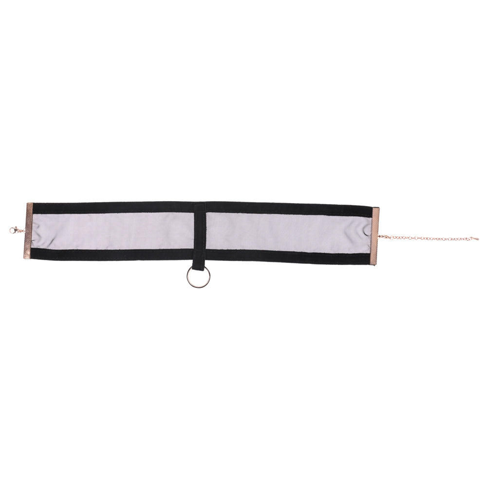 Sex & Mischief Sheer Day Collar -  Collar with black and gold collar ring and velvet ribbon detail.