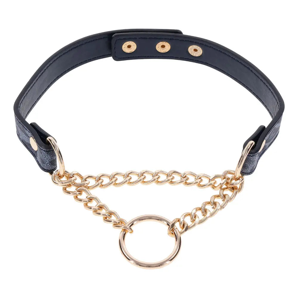 Sex & Mischief Cougar Day Collar - Navy /Gold Collar Sportsheets Discreet Intimate Essentials.