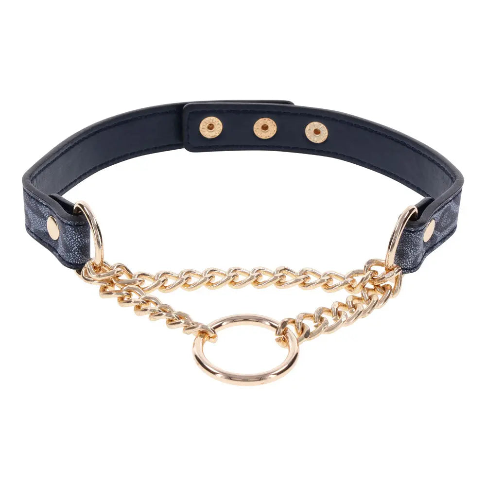 Sex & Mischief Cougar Day Collar - Navy /Gold Collar Sportsheets Discreet Intimate Essentials.