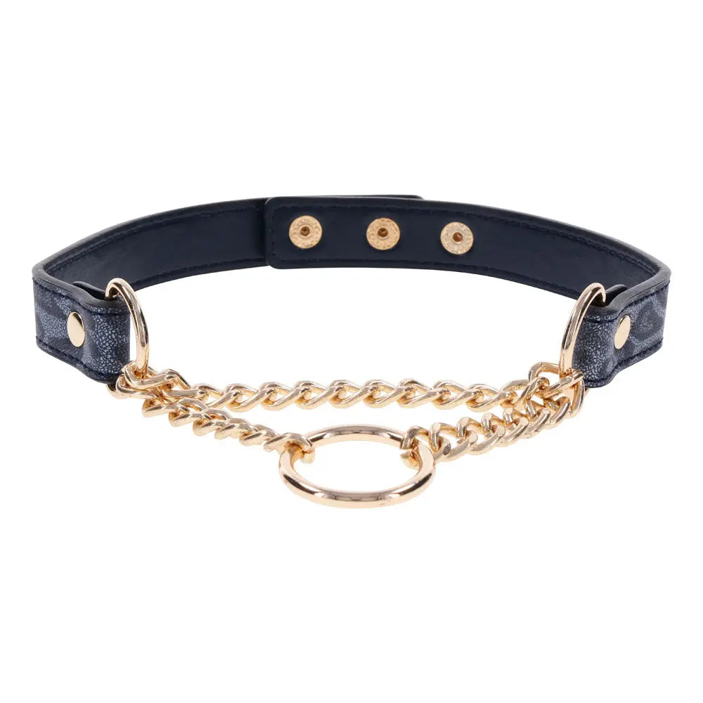 Sex & Mischief Cougar Day Collar - Navy /Gold Collar Sportsheets Discreet Intimate Essentials.