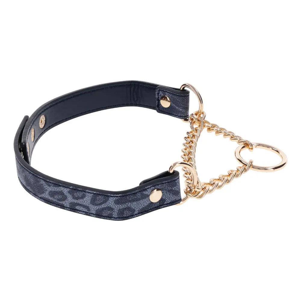 Sex & Mischief Cougar Day Collar - Navy /Gold Collar Sportsheets Discreet Intimate Essentials.