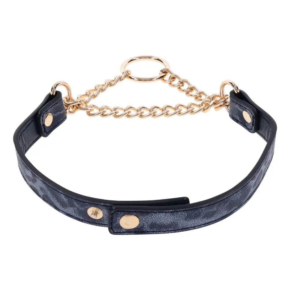 Sex & Mischief Cougar Day Collar - Navy /Gold Collar Sportsheets Discreet Intimate Essentials.