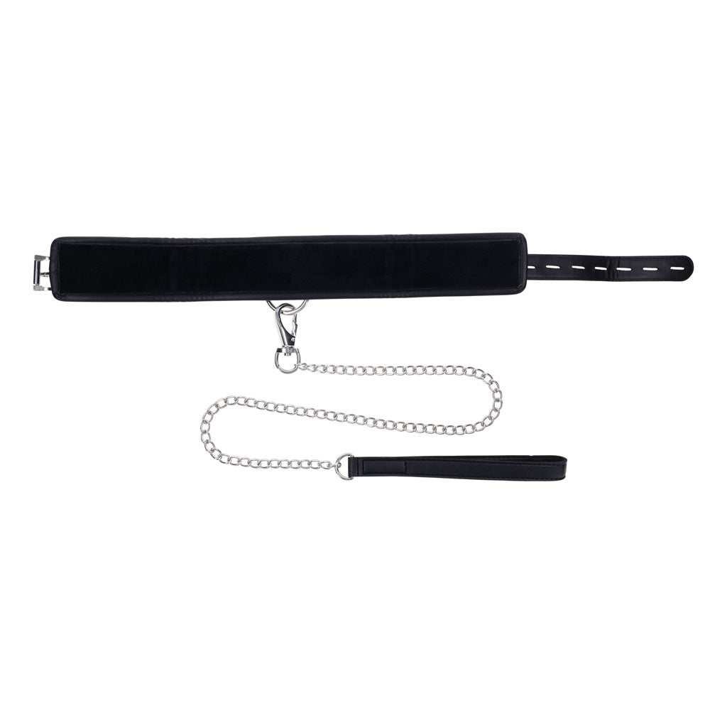 EDGE Collar & Leash -  Neck Restraint with Heavy Duty Metal Leash, featuring a padded collar and silver chain leash.