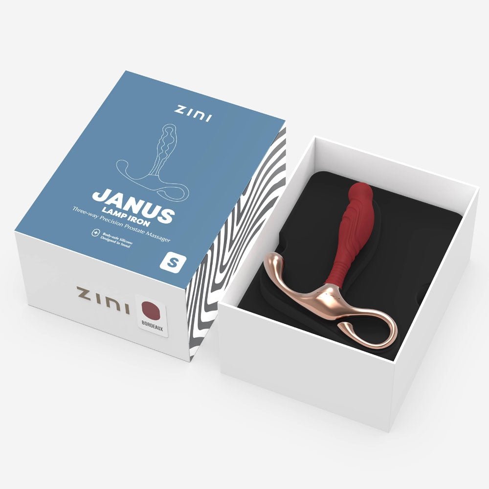 Zini Janus Lamp Iron - Small -  Small Prostate Massager packaging displayed in a white box with a red and copper massager.