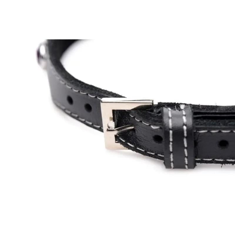 Bling Vixen Leather Choker w Red Rhinestones Master Series Discreet Intimate Essentials.