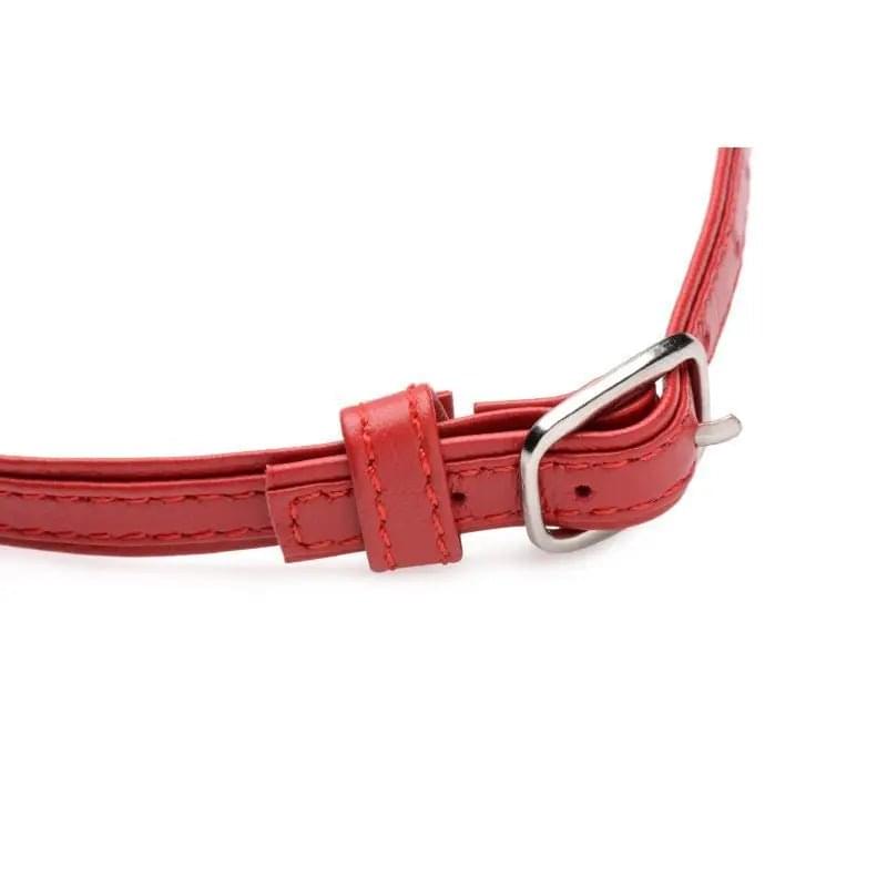 Fiery Pet Leather Choker w Silver Ring Red Master Series Discreet Intimate Essentials.