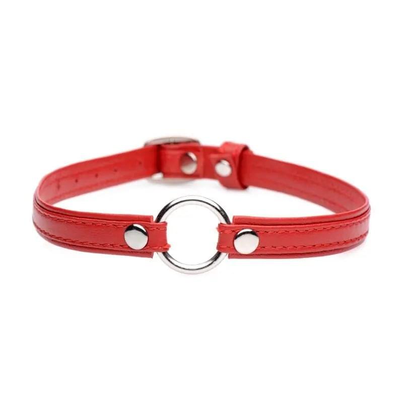 Fiery Pet Leather Choker w Silver Ring Red Master Series Discreet Intimate Essentials.