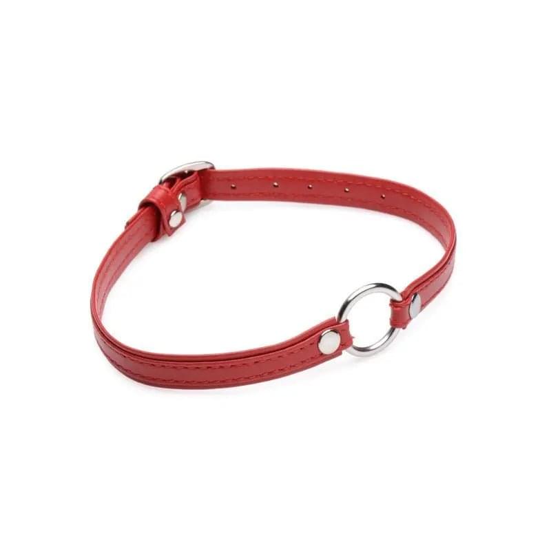 Fiery Pet Leather Choker w Silver Ring Red Master Series Discreet Intimate Essentials.