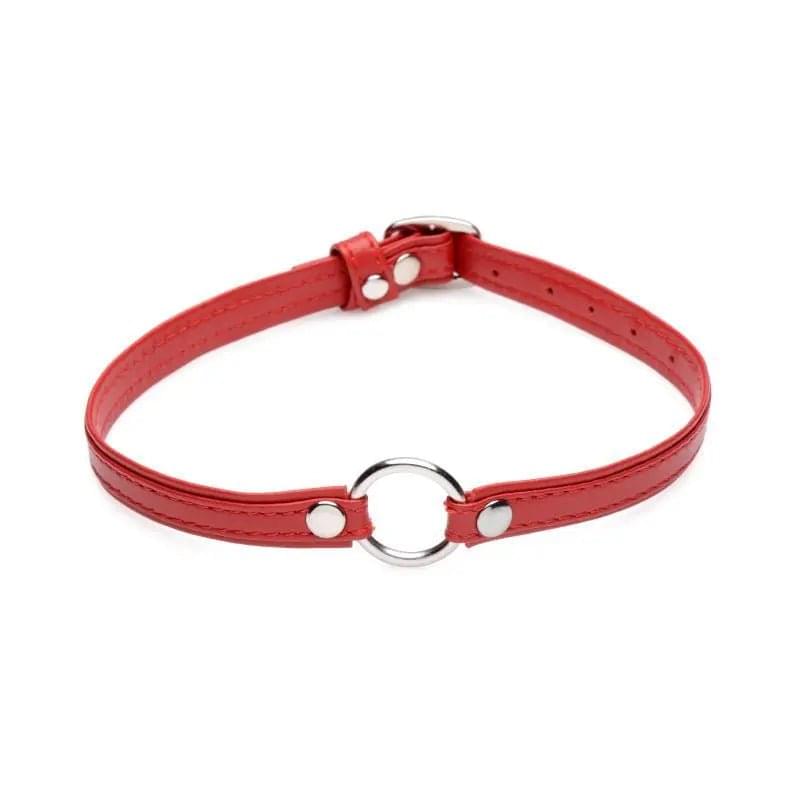 Fiery Pet Leather Choker w Silver Ring Red Master Series Discreet Intimate Essentials.