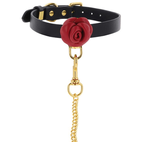 Wild Roses Collar & Leash (Black)