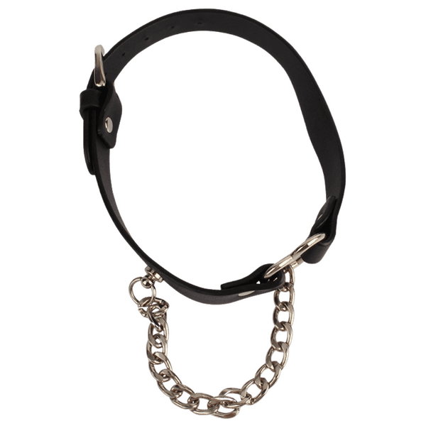 Heart Collar with a Chain