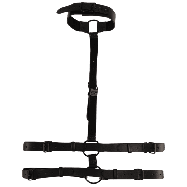 Collar Body Restraint