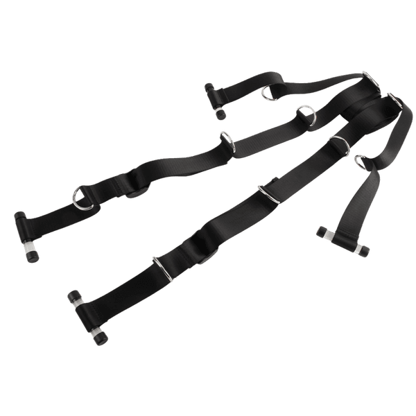 Over The Door Restraint System