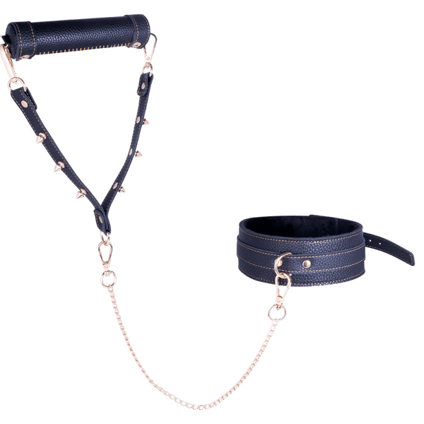 Collar & Leash (Black)