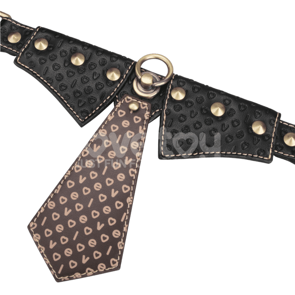 Collar & Leash