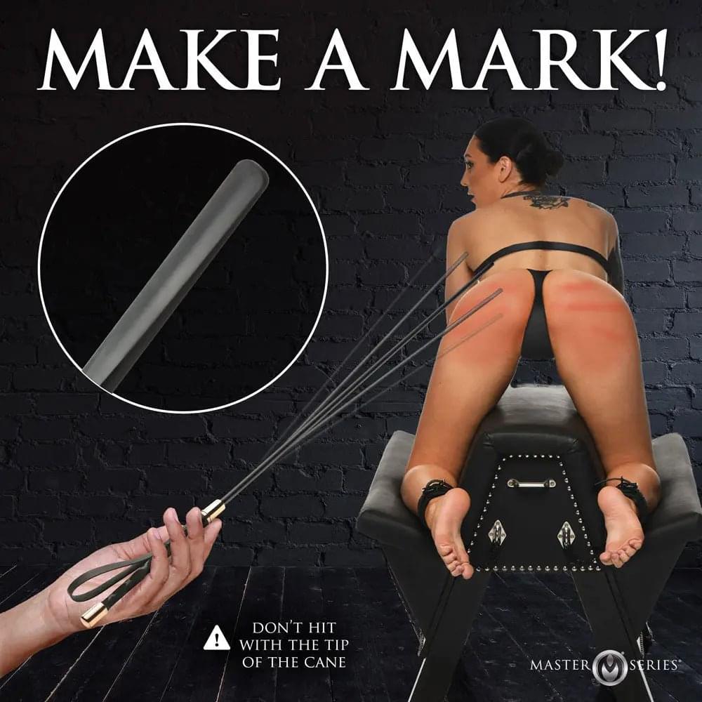 Master Series Sinful Impact Cane -  Plastic Cane Whip XR Brands Discreet Intimate Essentials.