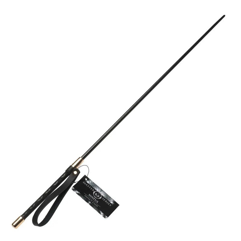 Shop affordable quality Master Series Sinful Impact Cane - Plastic Cane Whip - Discreet Intimate Essentials - BONDAGE-TOYS - XR Brands
