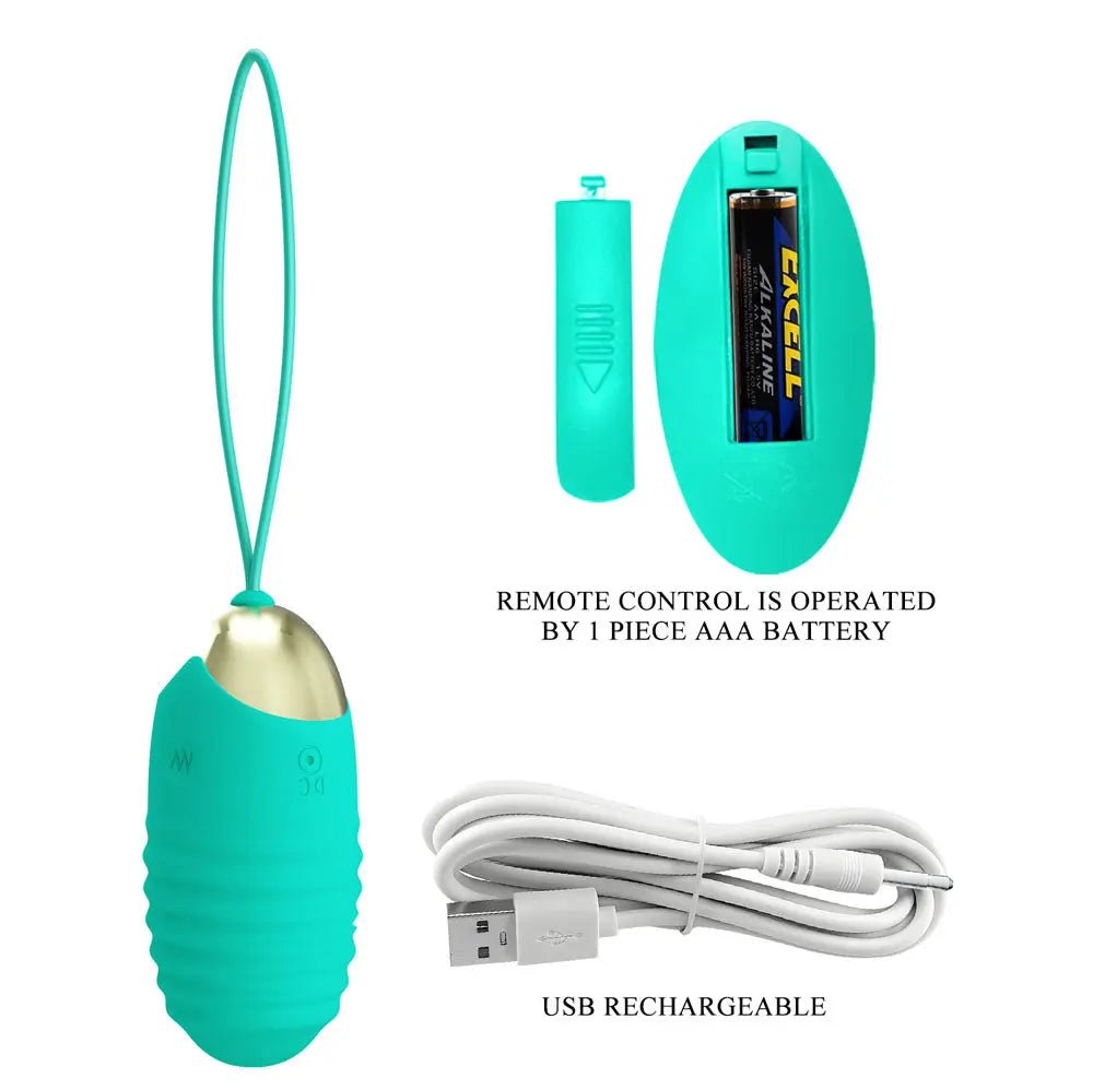 Shop affordable quality Party Up IAN Remote Egg - Teal - Teal USB Rechargeable Vibrating Egg with Wireless Remote - Discreet Intimate Essentials - BULLETS & EGGS - Party Up