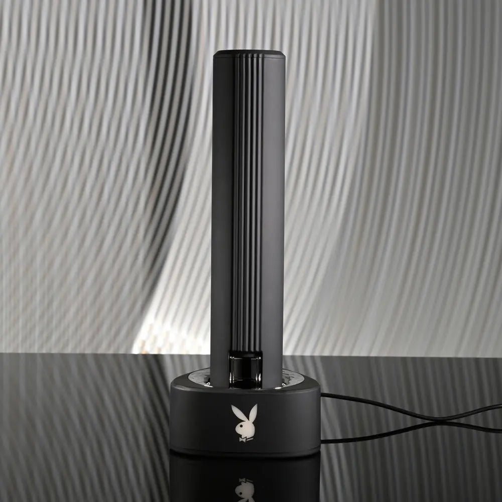 Shop affordable quality Playboy Pleasure PLEASURE ZONE - 21.4 cm Rechargeable Vibrator with USB Charging Dock - Discreet Intimate Essentials - VIBRATORS - Playboy Pleasure